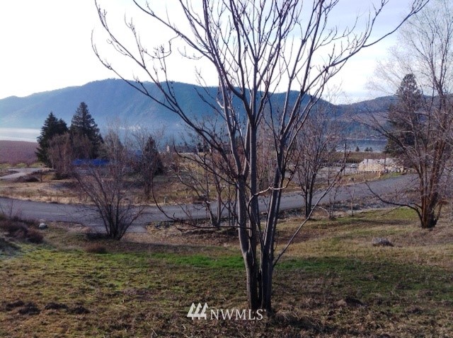 37 Capri Road Manson, WA 98831 - Photo 2 of 12 Gallery Image 2