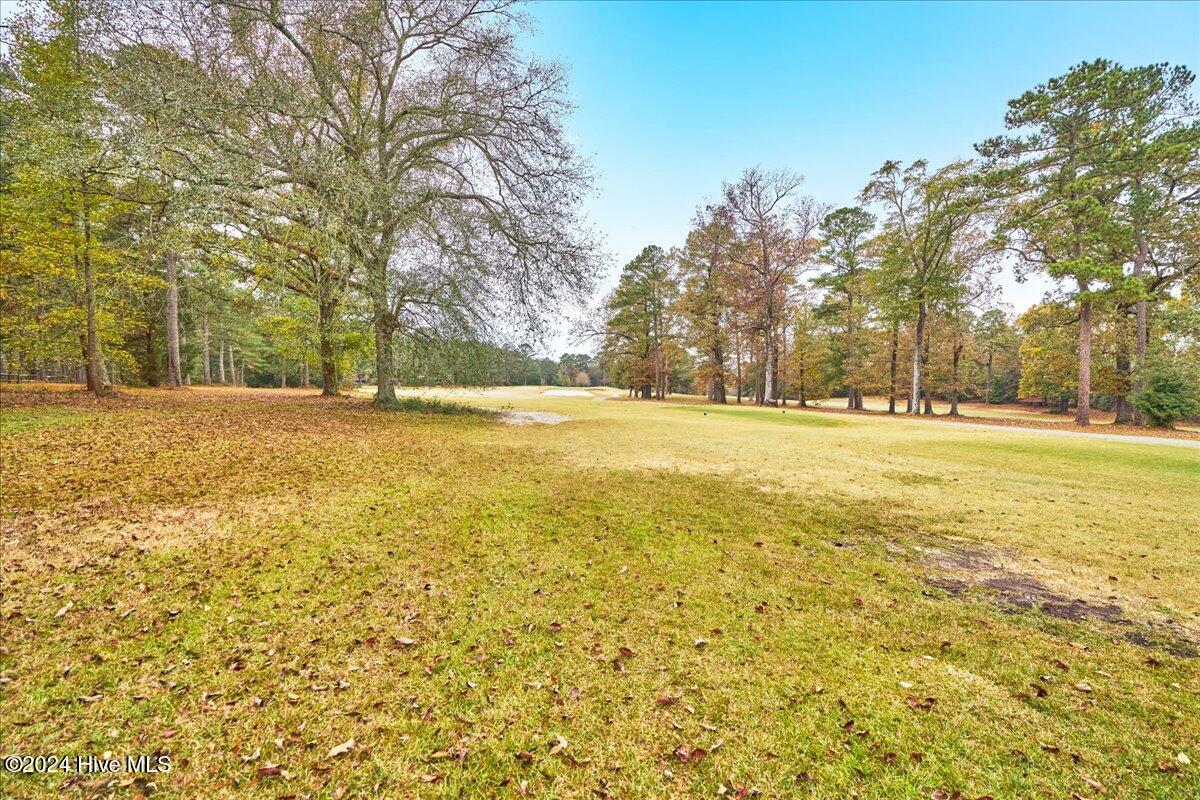 916 Rays Bridge Road Whispering Pines, NC 28327 - Photo 49 of 65 24-24_916 Rays Bridge Road, WP