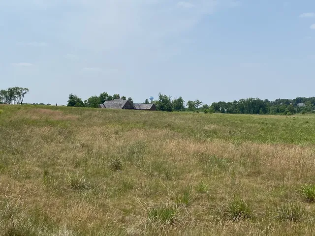 a view of a lake in middle of forest