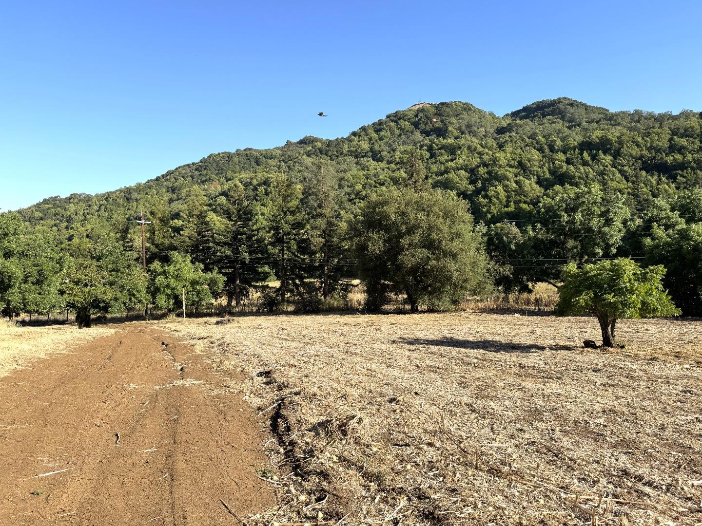 0 Casa Loma Road Morgan Hill, CA 95037 - Photo 2 of 13