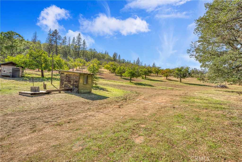 11335 Seigler Spgs Rd  