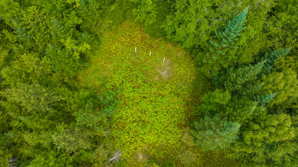 18 Pinkham Road Embden, ME 04958 - Photo 80 of 90 Land