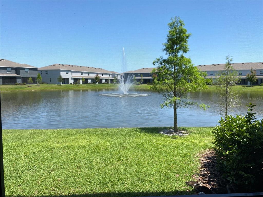 8642 Falling Blue Place Riverview, FL 33578 - Photo 14 of 26