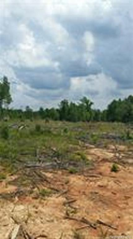 17-ac 17-ac Hidden Valley Road Elgin, SC 29045 - Photo 3 of 7