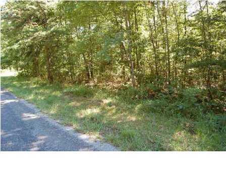 475 Roe Drive Dunlap, TN 37327 - Photo 1 of 5 Primary Photo