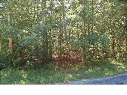 475 Roe Drive Dunlap, TN 37327 - Photo 3 of 5 Additional Photo