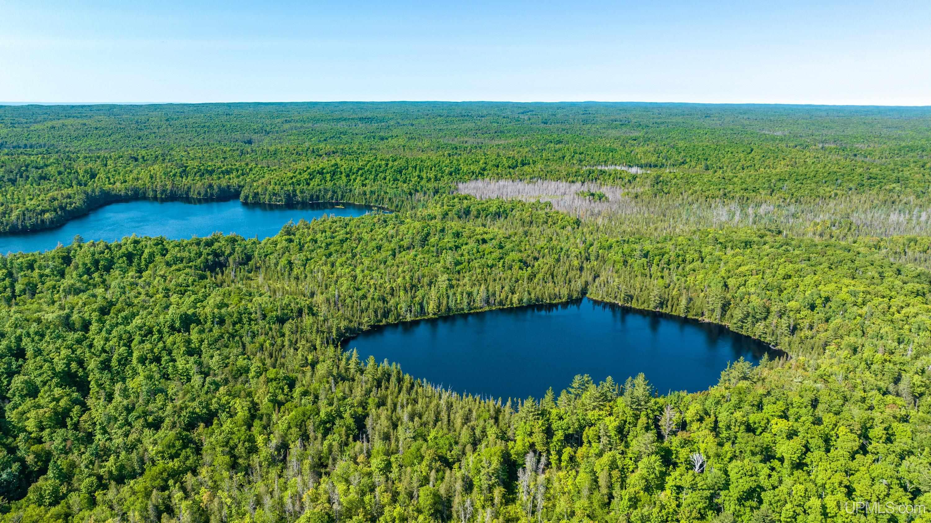 Tbd Tbd Dommer Lake Road Michigamme, MI 49861 - Photo 8 of 25