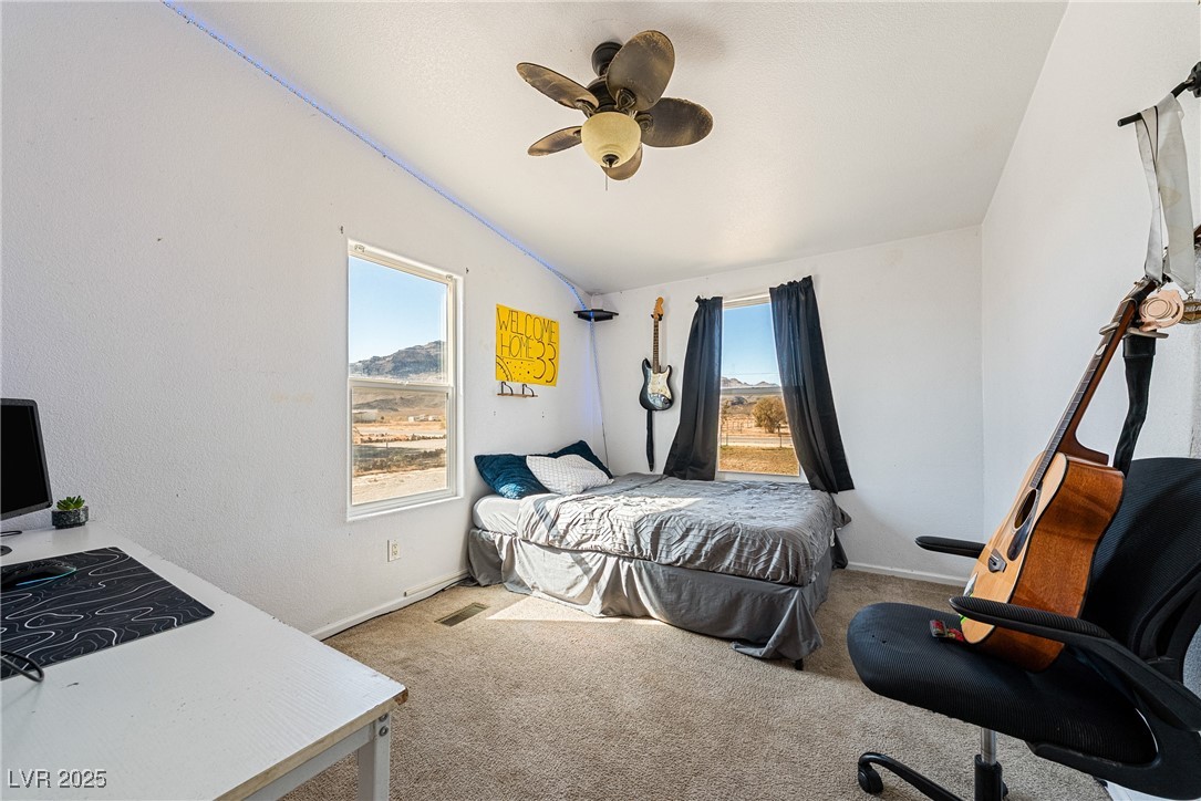 2281 Ambler Way Pahrump, NV 89060 - Photo 21 of 31