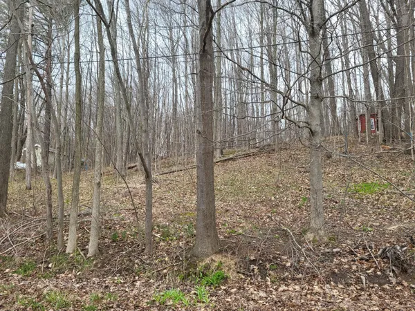 $75,000 | 46 East Peterson, Gobles, MI 49055