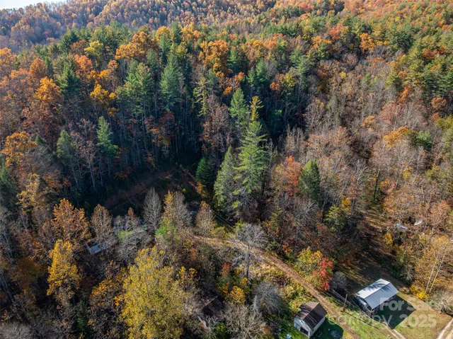 a view of a forest with a house
