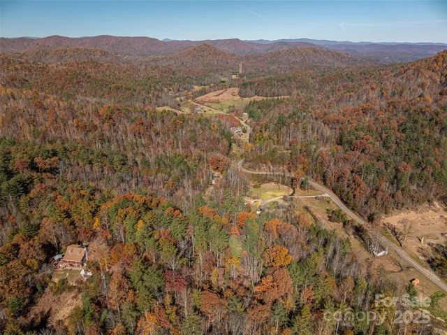 a view of mountain with trees in the background