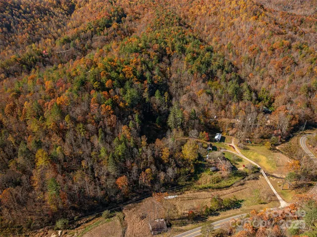 a view of a dry yard