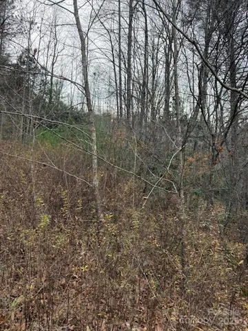 a view of a yard with a tree