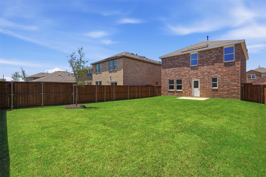 14126 Donahue Street Pilot Point, TX 76258 - Photo 9 of 16 Big Backyard
