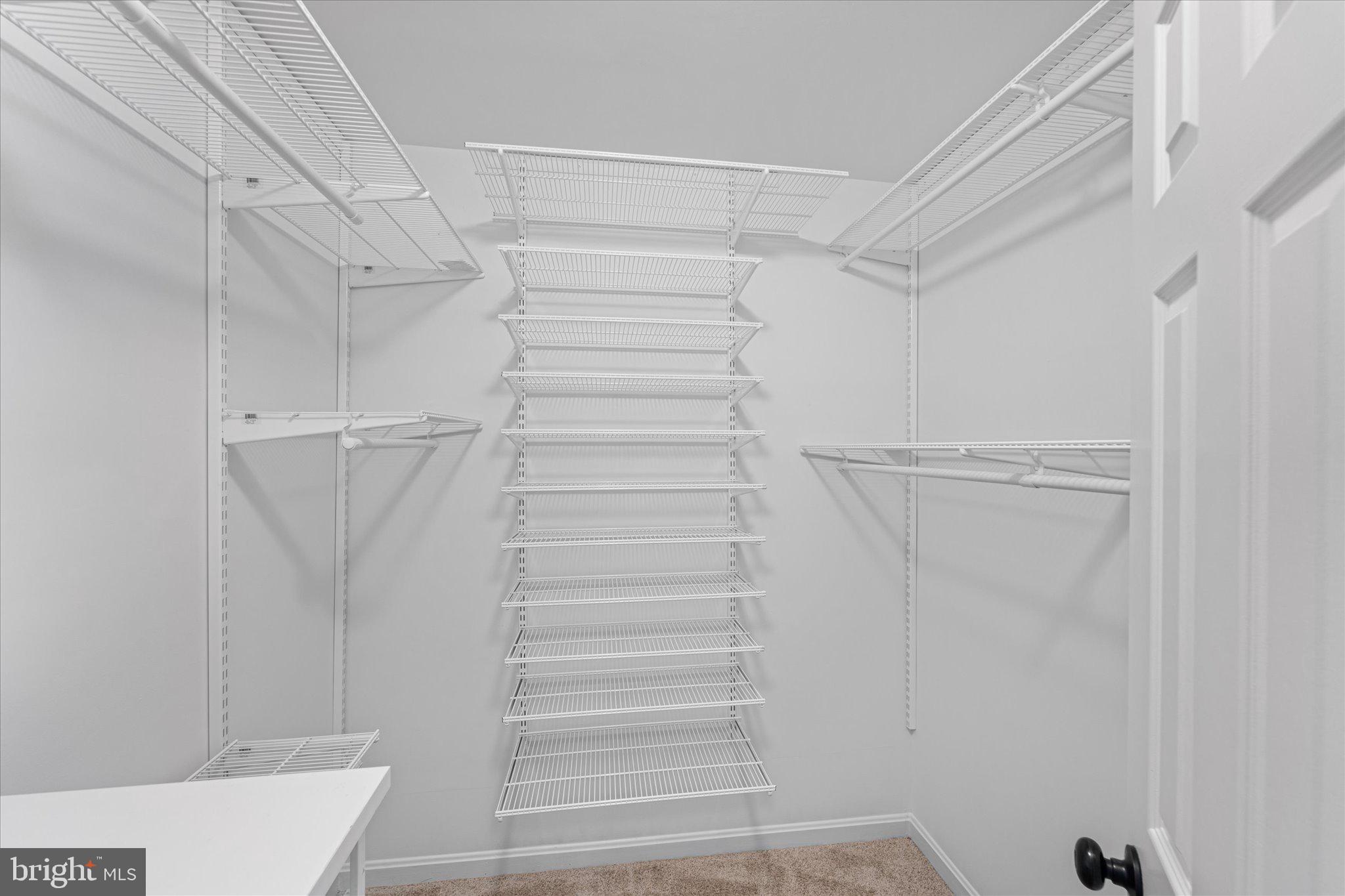 8104 Tall Timber Drive Gainesville, VA 20155 - Photo 30 of 58 Primary Walk-In Closet