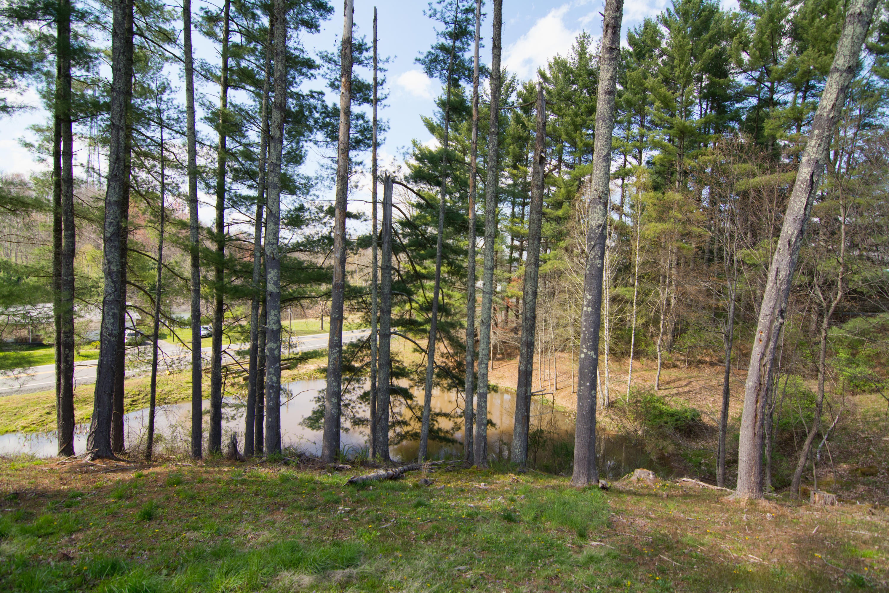 3973 Grassy Meadows Road Alderson, WV 24910 - Photo 34 of 41 Gallery Image 34