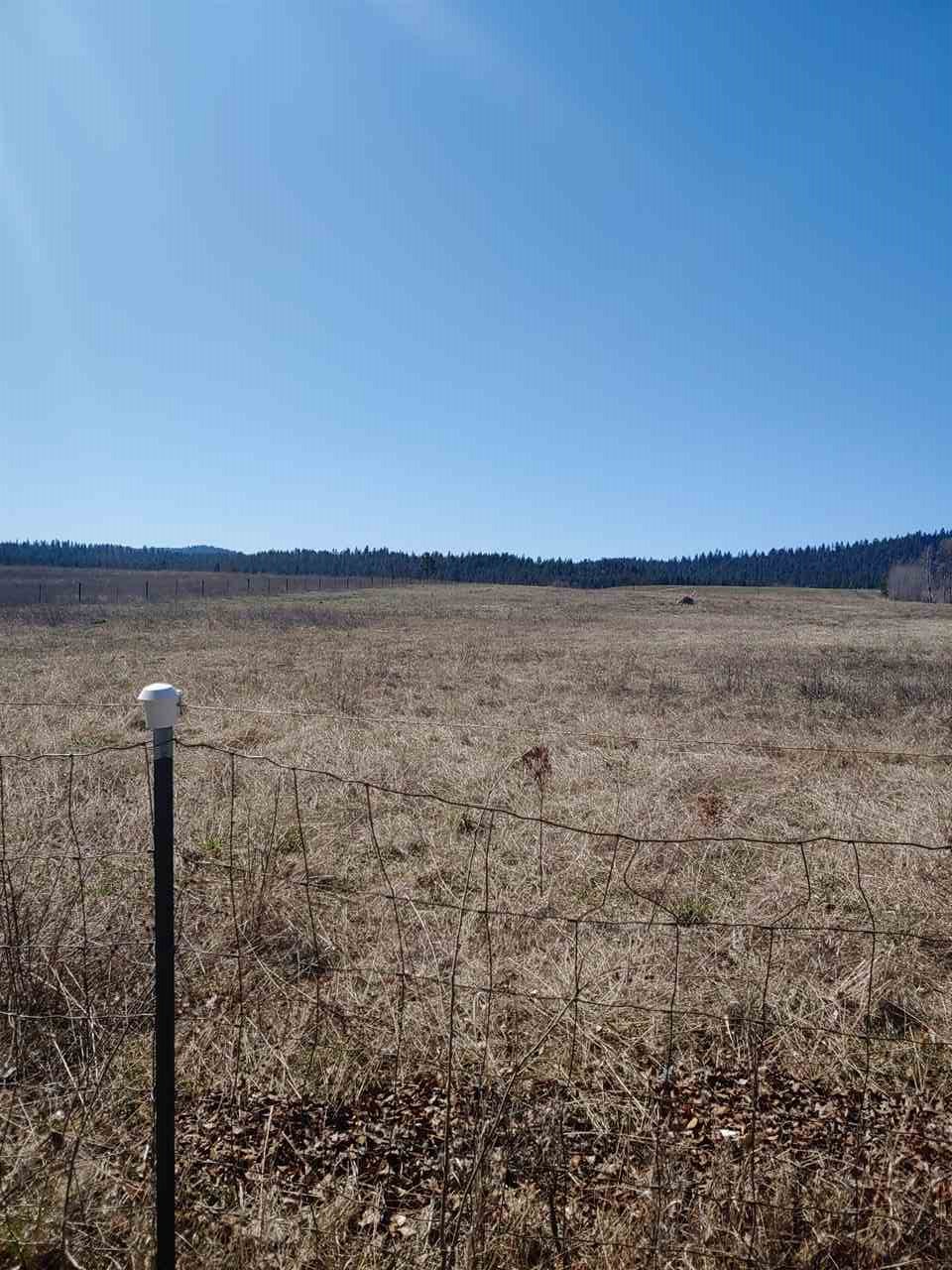 4508 Whittier Road Clayton, WA 99110 - Photo 13 of 20 Gallery Image 13