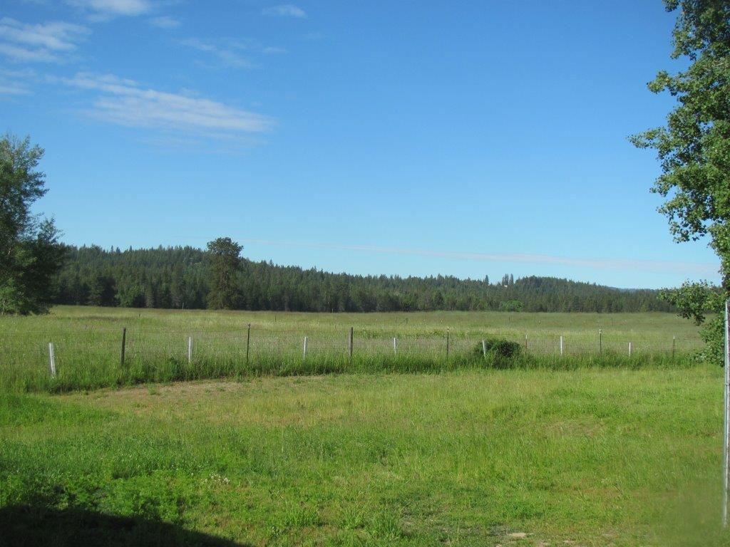 4508 Whittier Road Clayton, WA 99110 - Photo 14 of 20 Gallery Image 14
