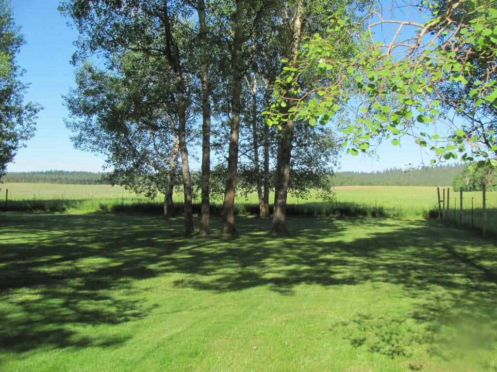 4508 Whittier Road Clayton, WA 99110 - Photo 16 of 20 Gallery Image 16