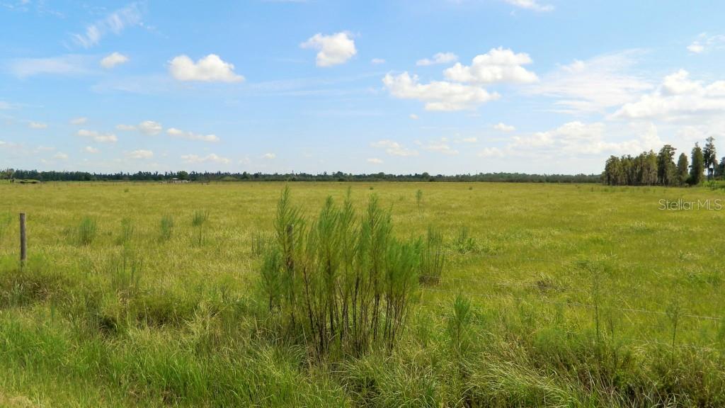 0 North Rhoden Road Fort Meade, FL 33841 - Photo 1 of 1 a view of an ocean and beach