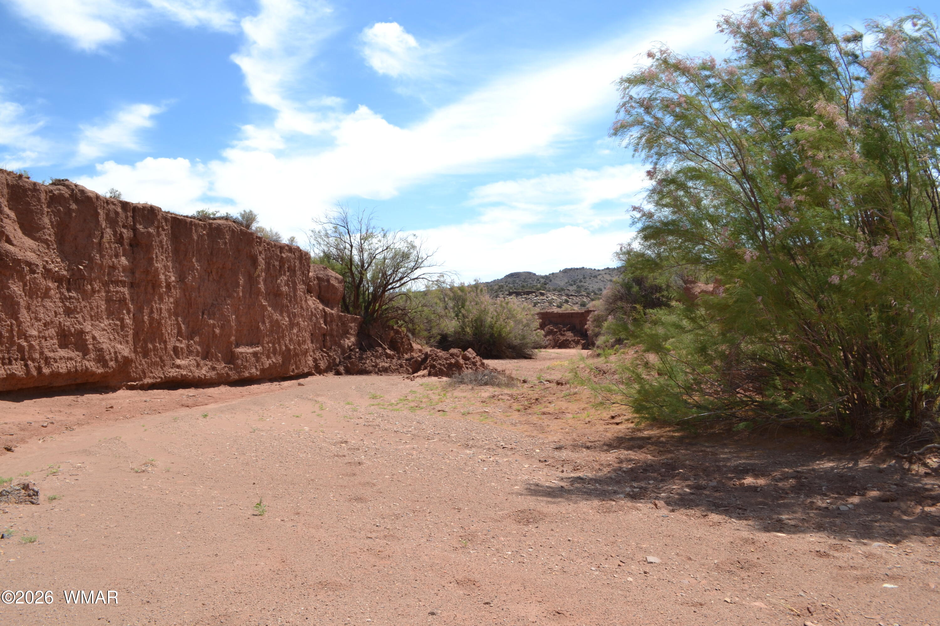18-19 N8577 Road Concho, AZ 85924 - Photo 4 of 17 DSC_0196