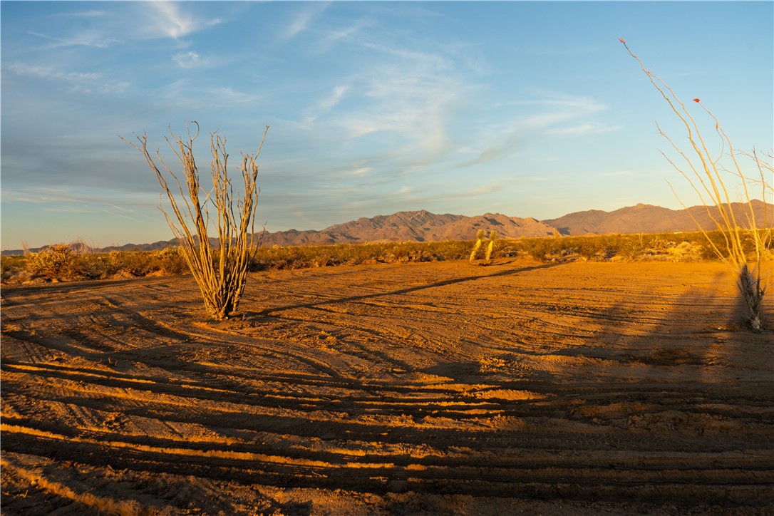 207-17-065 South Cameron Road Yucca, AZ 86438 - Photo 8 of 24