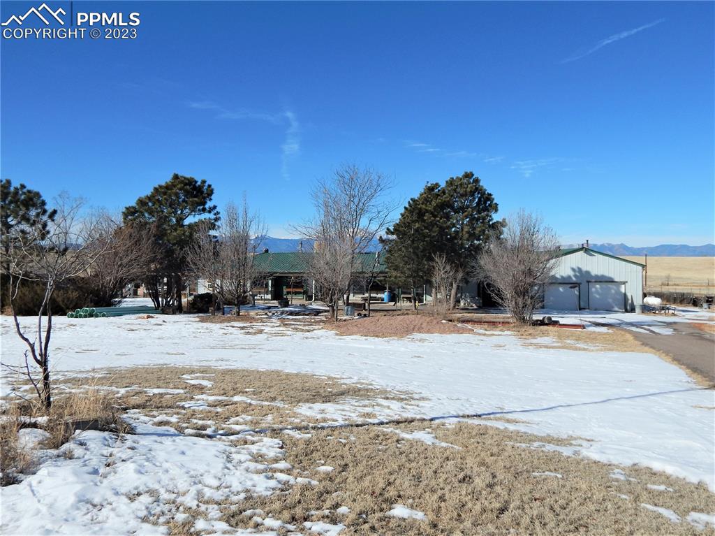 a view of a yard with a tree