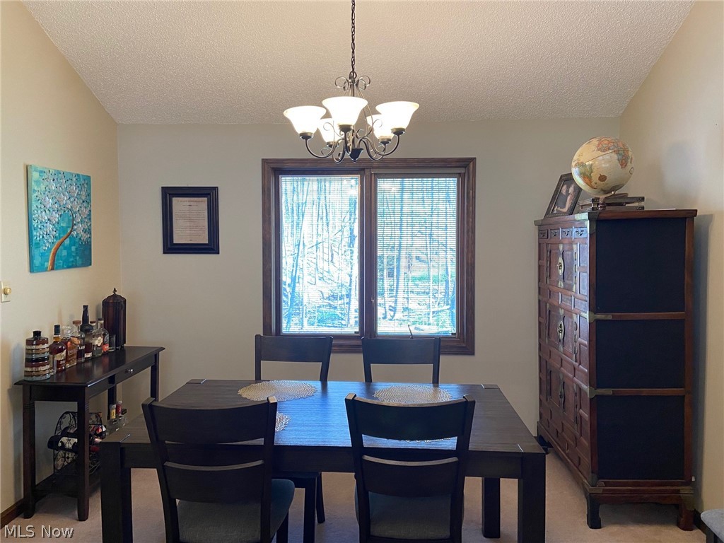 10886 Butternut Road Chesterland, OH 44026 - Photo 7 of 21