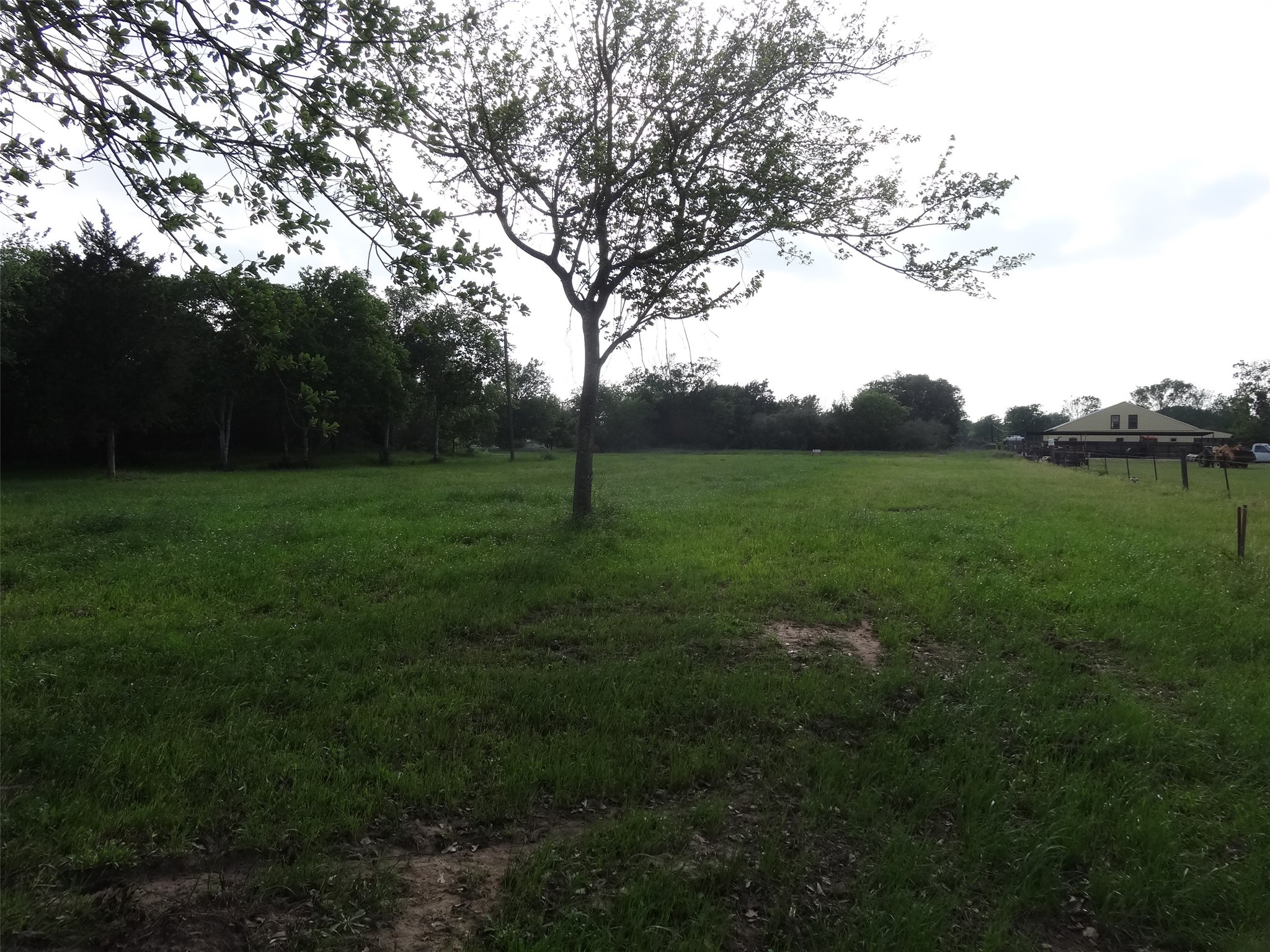 148 4th Street Hempstead, TX 77445 - Photo 19 of 22