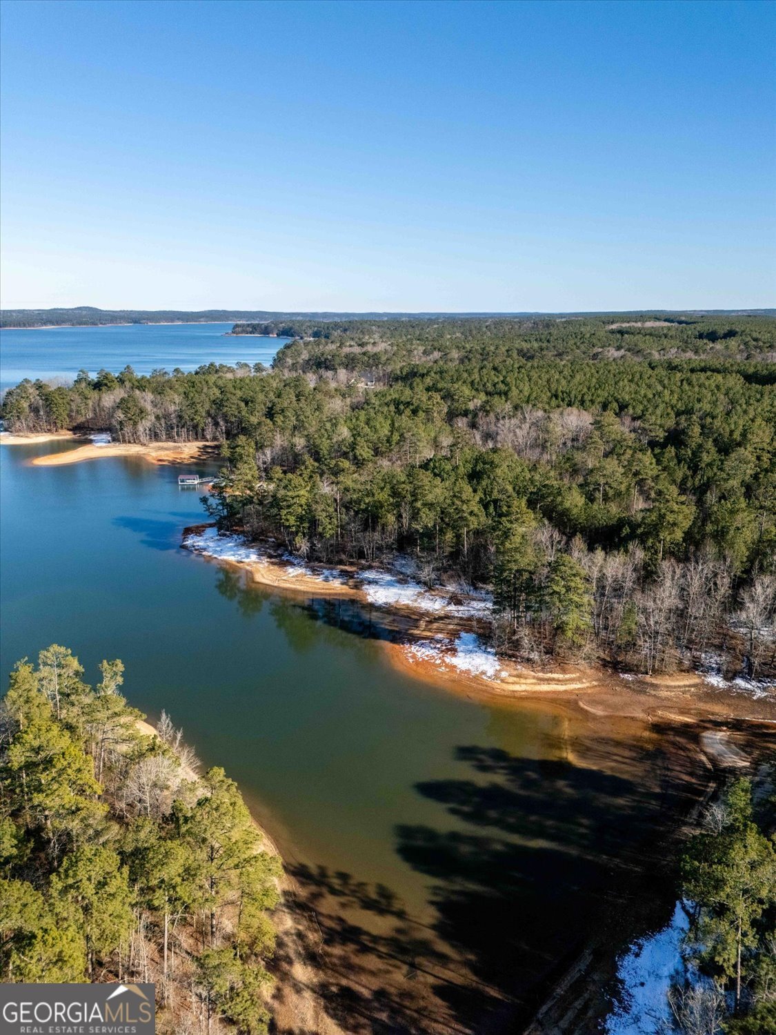 1440 Rock Point Cove Tignall, GA 30668 - Photo 6 of 15