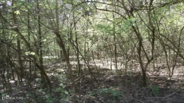 $999,999 | 1586 Needmore Road, Old Hickory, TN 37138