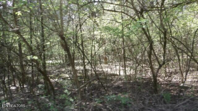 1586 Needmore Road Old Hickory, TN 37138 - Photo 16 of 57 100_0019