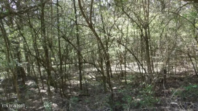 $999,999 | 1586 Needmore Road, Old Hickory, TN 37138