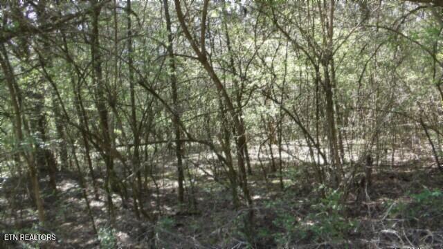 1586 Needmore Road Old Hickory, TN 37138 - Photo 17 of 57 100_0020