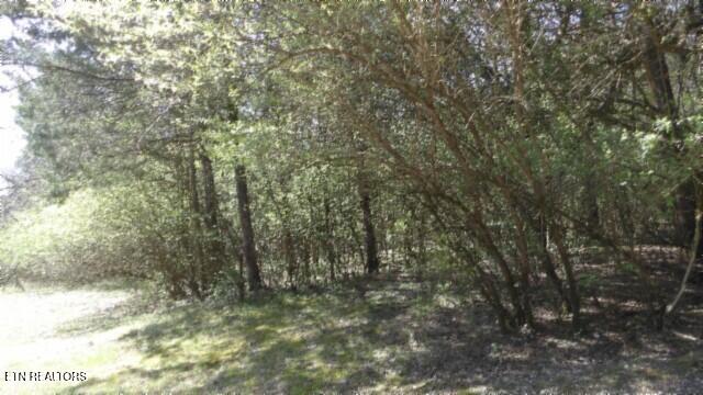 1586 Needmore Road Old Hickory, TN 37138 - Photo 18 of 57 100_0021