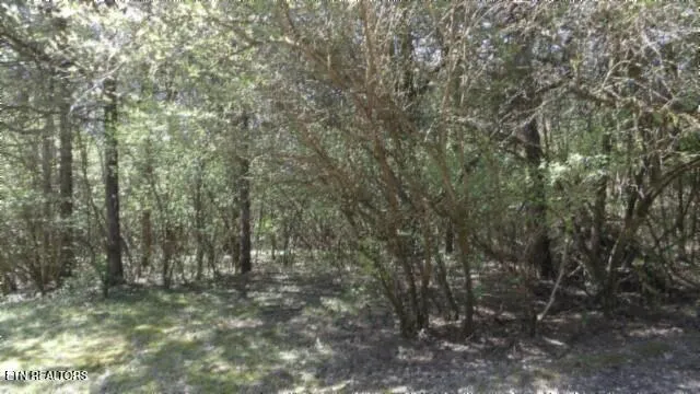 $999,999 | 1586 Needmore Road, Old Hickory, TN 37138