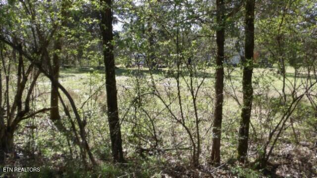 1586 Needmore Road Old Hickory, TN 37138 - Photo 20 of 57 100_0023