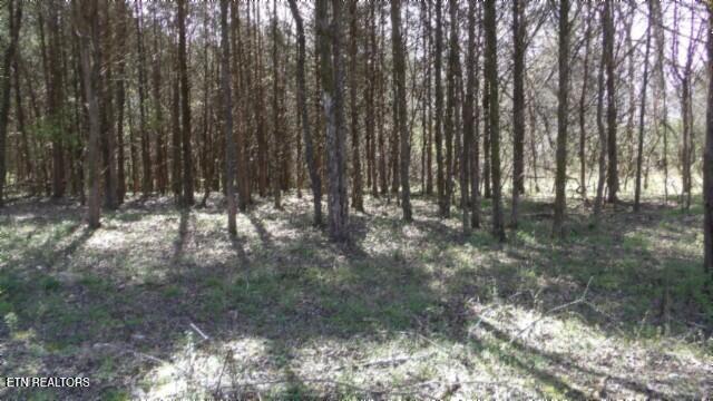 1586 Needmore Road Old Hickory, TN 37138 - Photo 23 of 57 100_0027