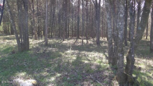 1586 Needmore Road Old Hickory, TN 37138 - Photo 24 of 57 100_0028