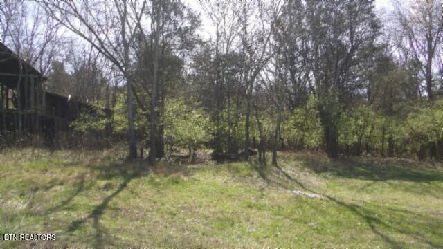 1586 Needmore Road Old Hickory, TN 37138 - Photo 26 of 57 100_0031