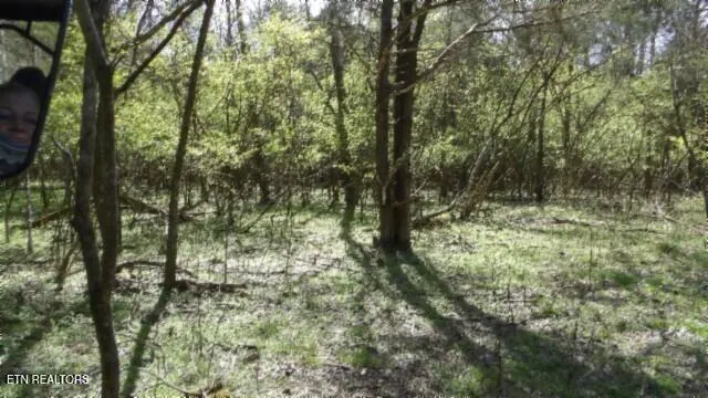 $999,999 | 1586 Needmore Road, Old Hickory, TN 37138