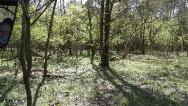 1586 Needmore Road Old Hickory, TN 37138 - Photo 28 of 57 100_0034