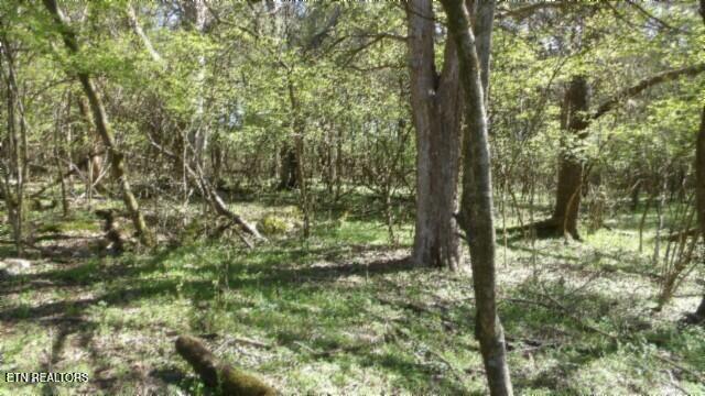 1586 Needmore Road Old Hickory, TN 37138 - Photo 29 of 57 100_0036