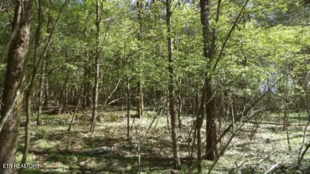 $999,999 | 1586 Needmore Road, Old Hickory, TN 37138