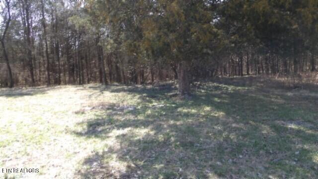 1586 Needmore Road Old Hickory, TN 37138 - Photo 3 of 57 100_0002