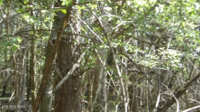 $999,999 | 1586 Needmore Road, Old Hickory, TN 37138