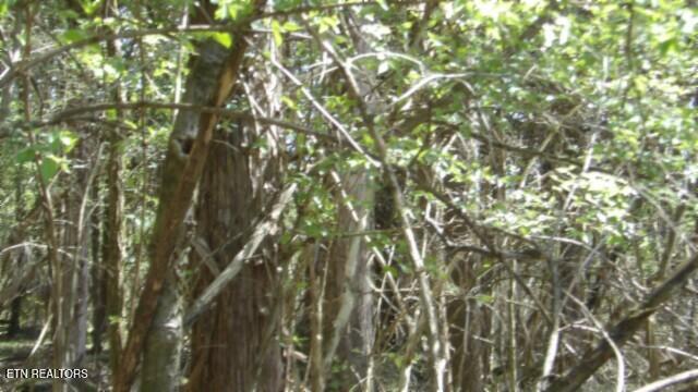 1586 Needmore Road Old Hickory, TN 37138 - Photo 31 of 57 100_0038