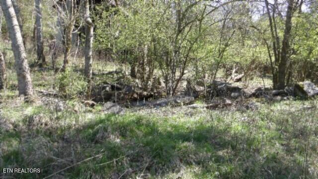 1586 Needmore Road Old Hickory, TN 37138 - Photo 33 of 57 100_0044