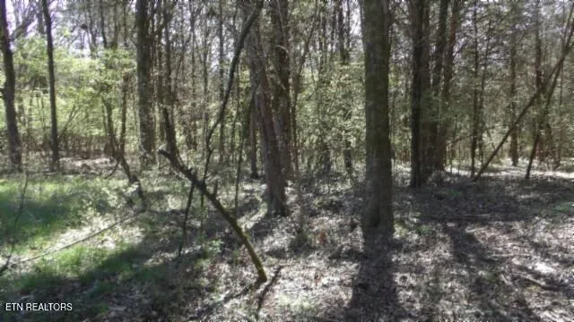 $999,999 | 1586 Needmore Road, Old Hickory, TN 37138