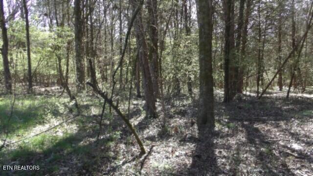 1586 Needmore Road Old Hickory, TN 37138 - Photo 34 of 57 100_0047